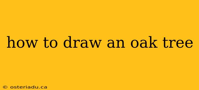 how to draw an oak tree