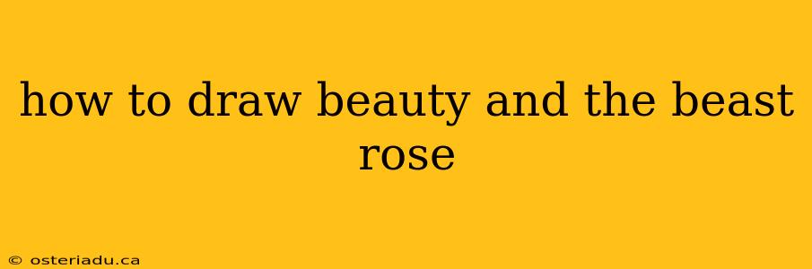 how to draw beauty and the beast rose