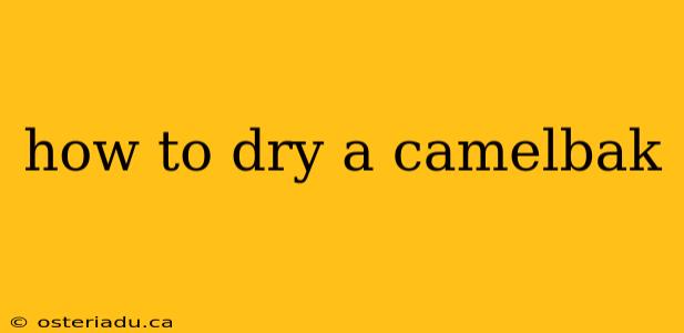 how to dry a camelbak