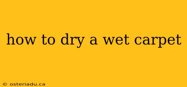 how to dry a wet carpet