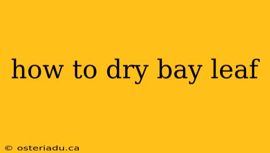 how to dry bay leaf