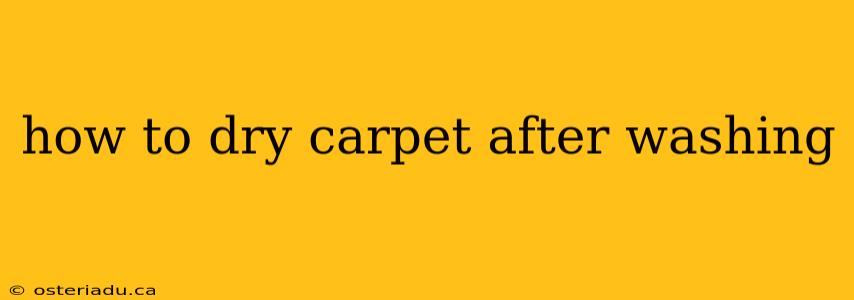 how to dry carpet after washing