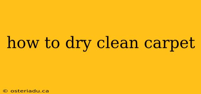 how to dry clean carpet