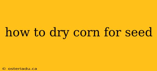 how to dry corn for seed