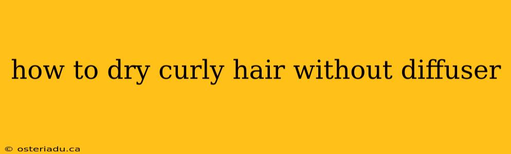 how to dry curly hair without diffuser