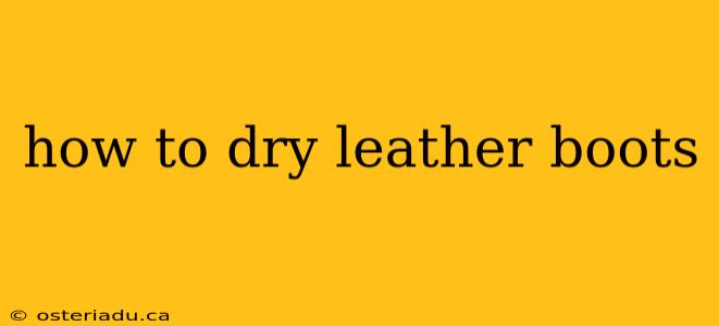 how to dry leather boots