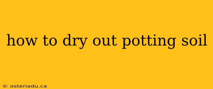 how to dry out potting soil