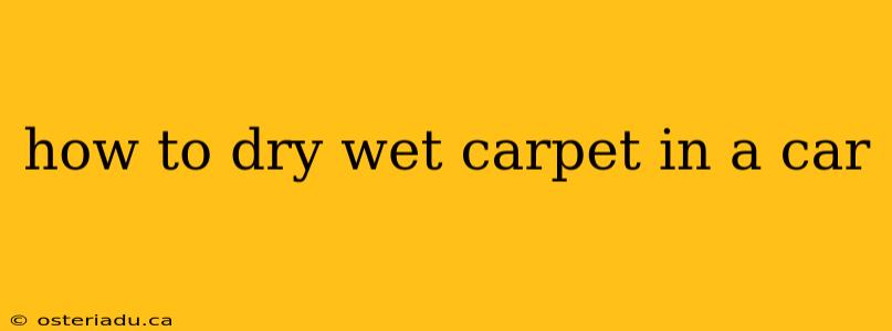 how to dry wet carpet in a car