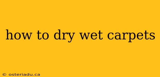 how to dry wet carpets