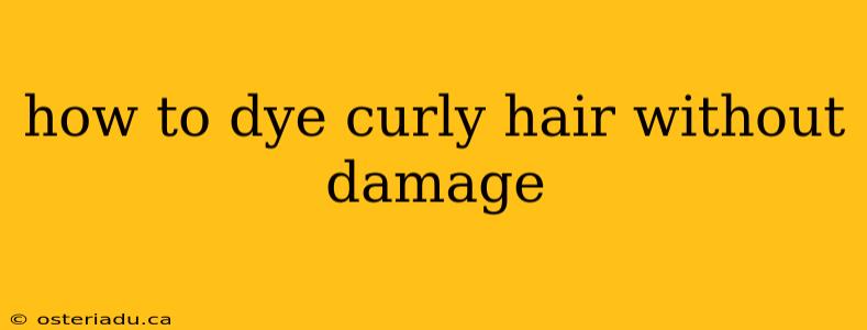 how to dye curly hair without damage