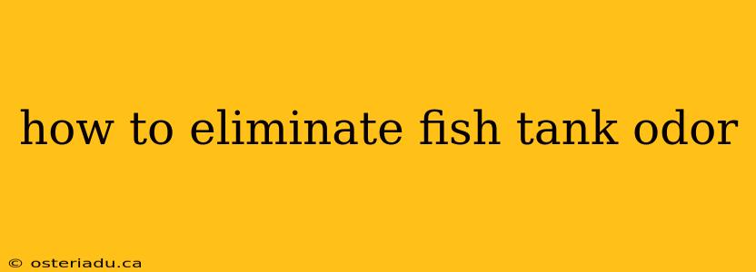 how to eliminate fish tank odor