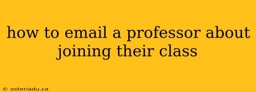 how to email a professor about joining their class