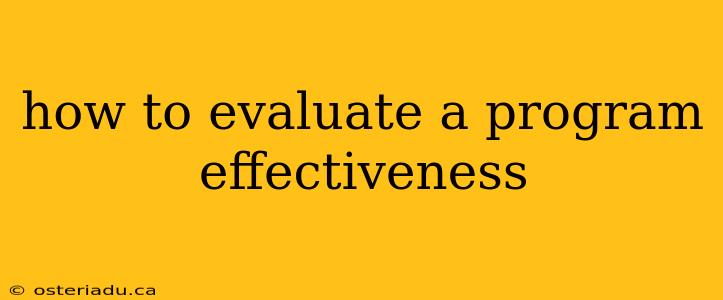 how to evaluate a program effectiveness