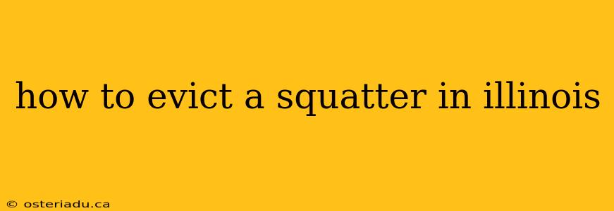 how to evict a squatter in illinois