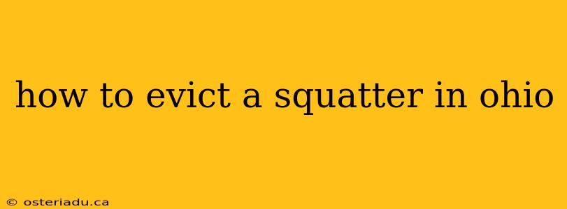 how to evict a squatter in ohio