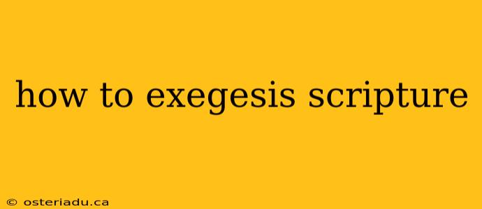 how to exegesis scripture