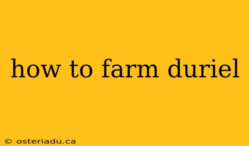 how to farm duriel