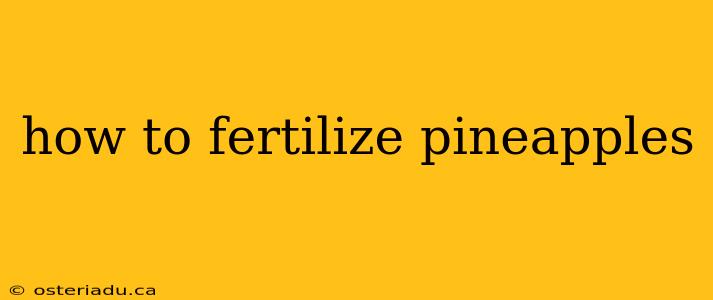 how to fertilize pineapples