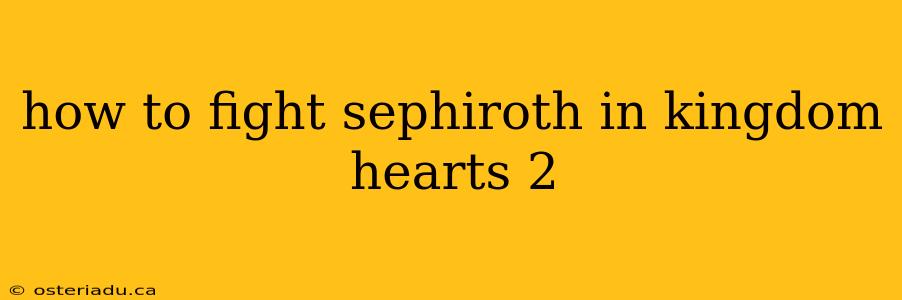 how to fight sephiroth in kingdom hearts 2