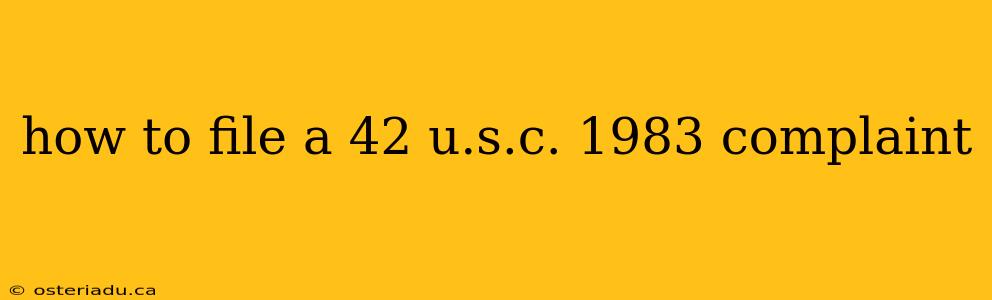 how to file a 42 u.s.c. 1983 complaint