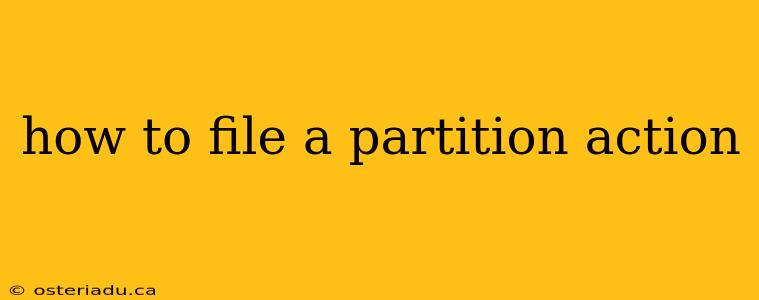 how to file a partition action