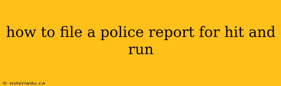 how to file a police report for hit and run