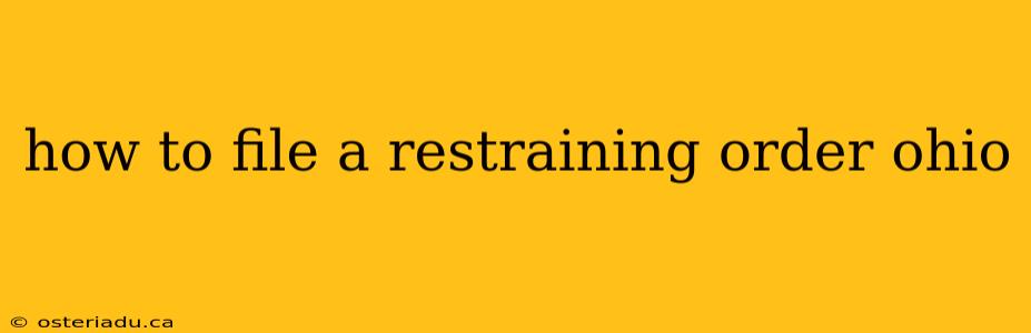 how to file a restraining order ohio