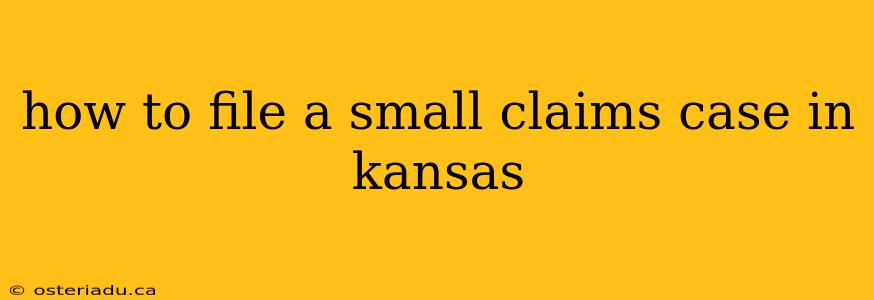 how to file a small claims case in kansas