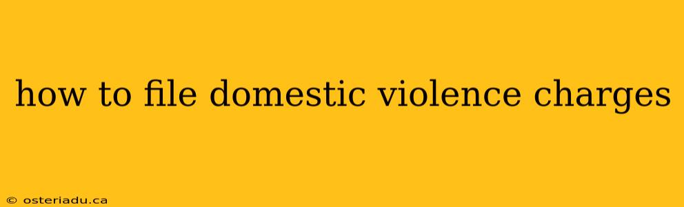 how to file domestic violence charges