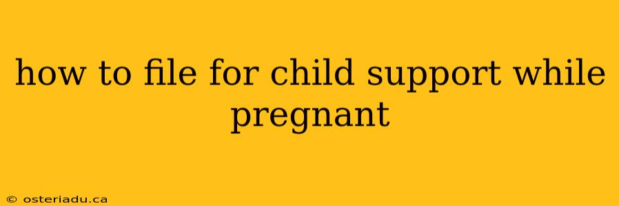 how to file for child support while pregnant