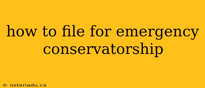 how to file for emergency conservatorship