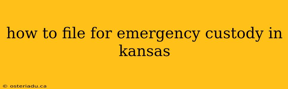 how to file for emergency custody in kansas