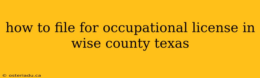 how to file for occupational license in wise county texas