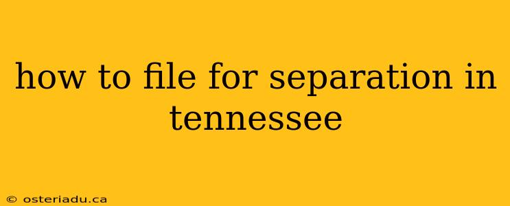 how to file for separation in tennessee