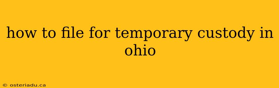 how to file for temporary custody in ohio