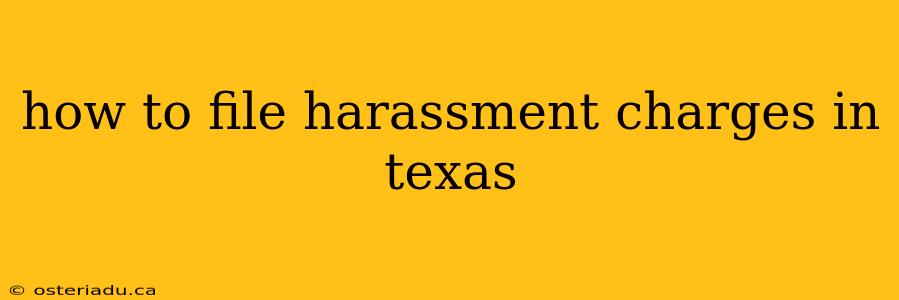 how to file harassment charges in texas