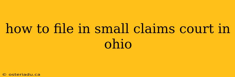 how to file in small claims court in ohio