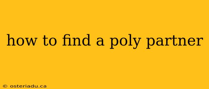 how to find a poly partner