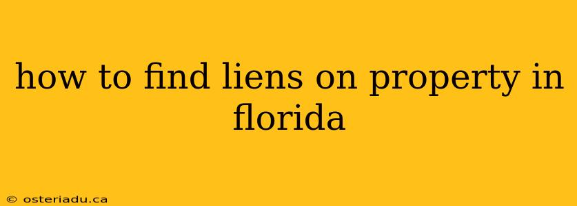 how to find liens on property in florida