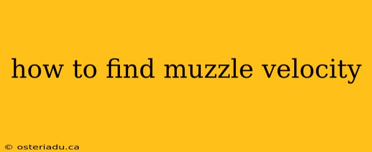 how to find muzzle velocity