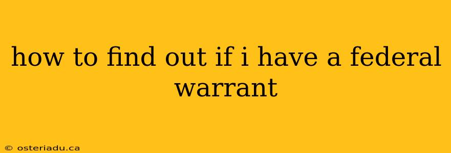 how to find out if i have a federal warrant