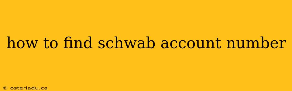 how to find schwab account number