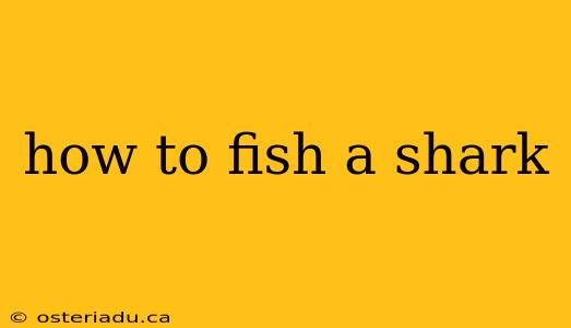 how to fish a shark