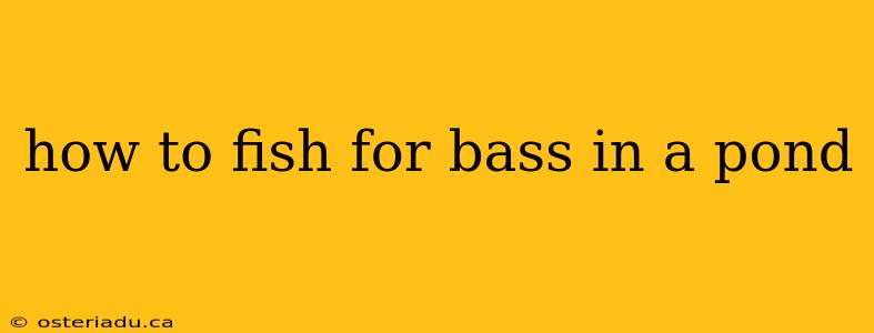 how to fish for bass in a pond