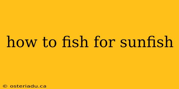 how to fish for sunfish