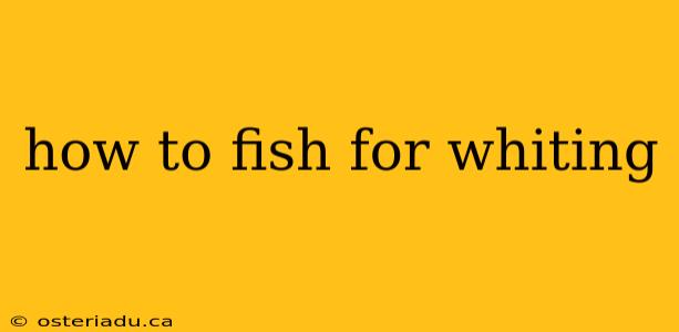 how to fish for whiting