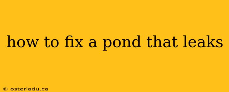 how to fix a pond that leaks