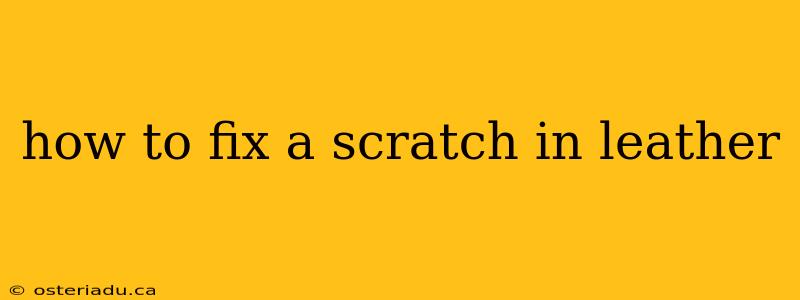 how to fix a scratch in leather