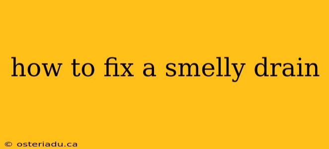 how to fix a smelly drain