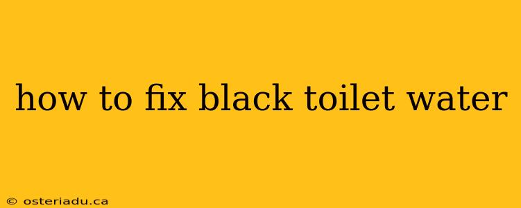 how to fix black toilet water